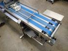 2009 Anko Spring Roll Production Line